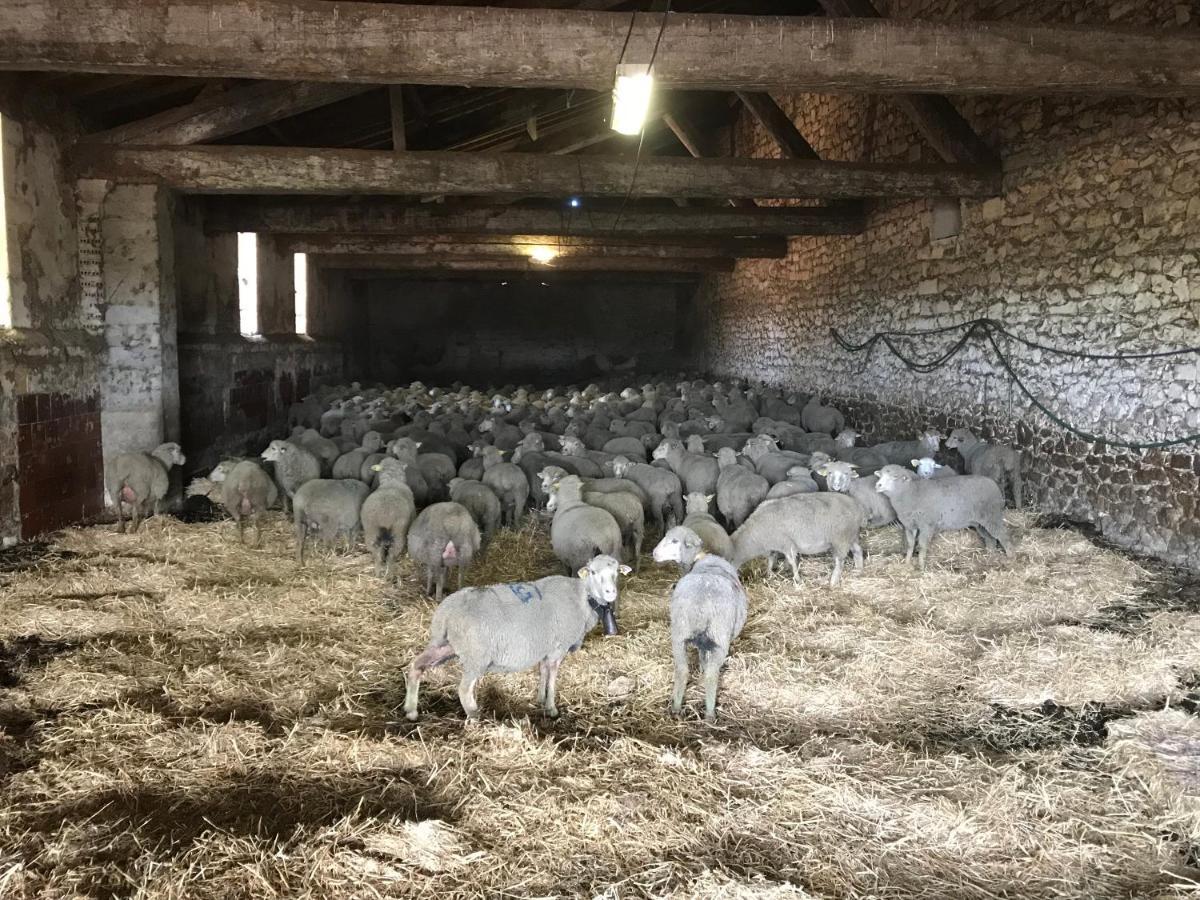 Studio A La Ferme Villa Arles Esterno foto