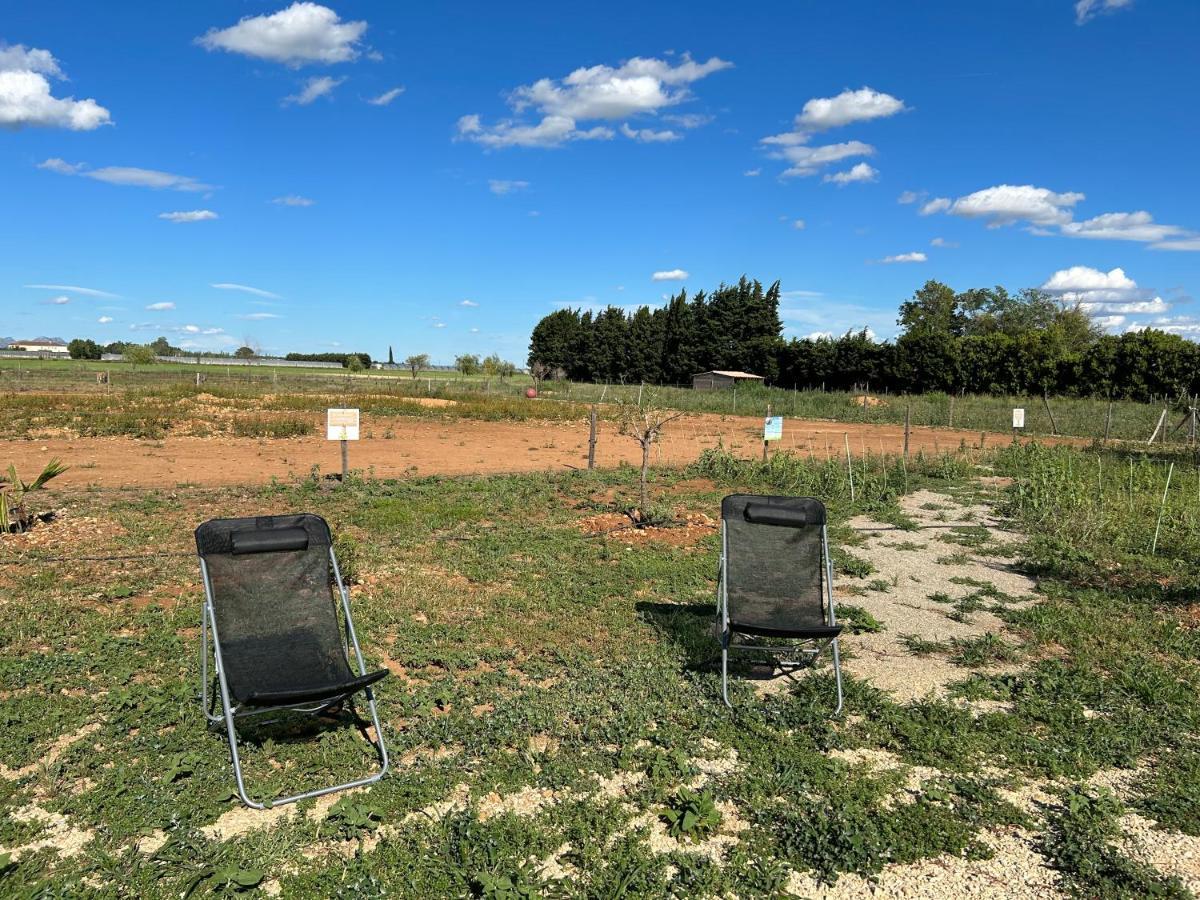 Studio A La Ferme Villa Arles Esterno foto